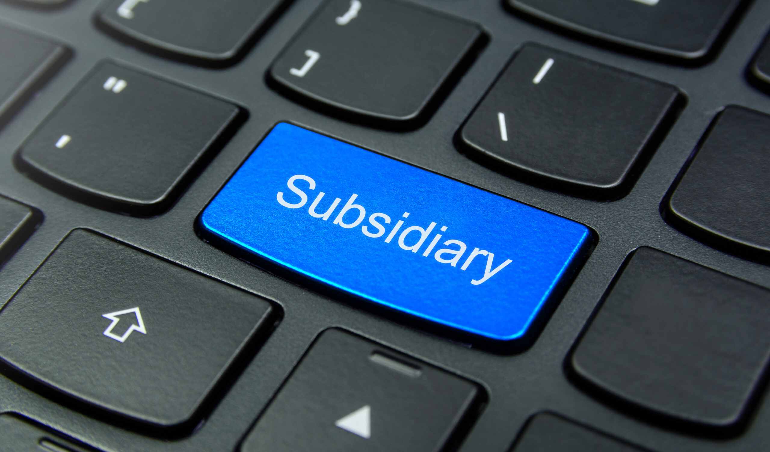 What Is A Business Subsidiary